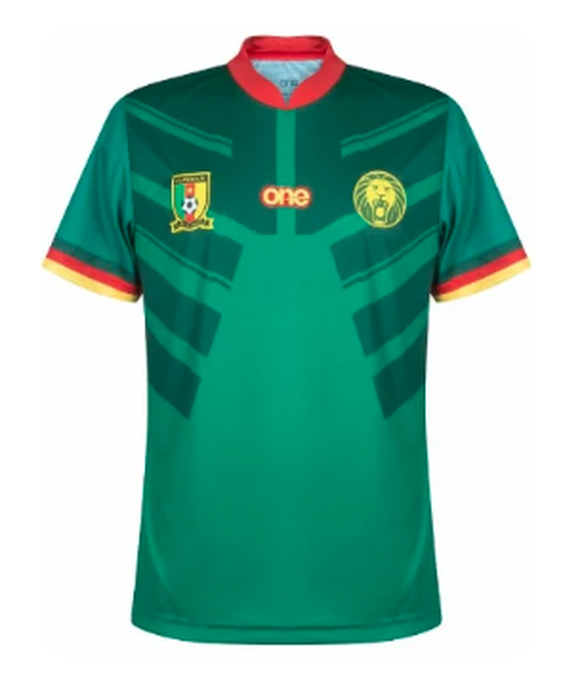 WM 2022: Trikot Kamerun