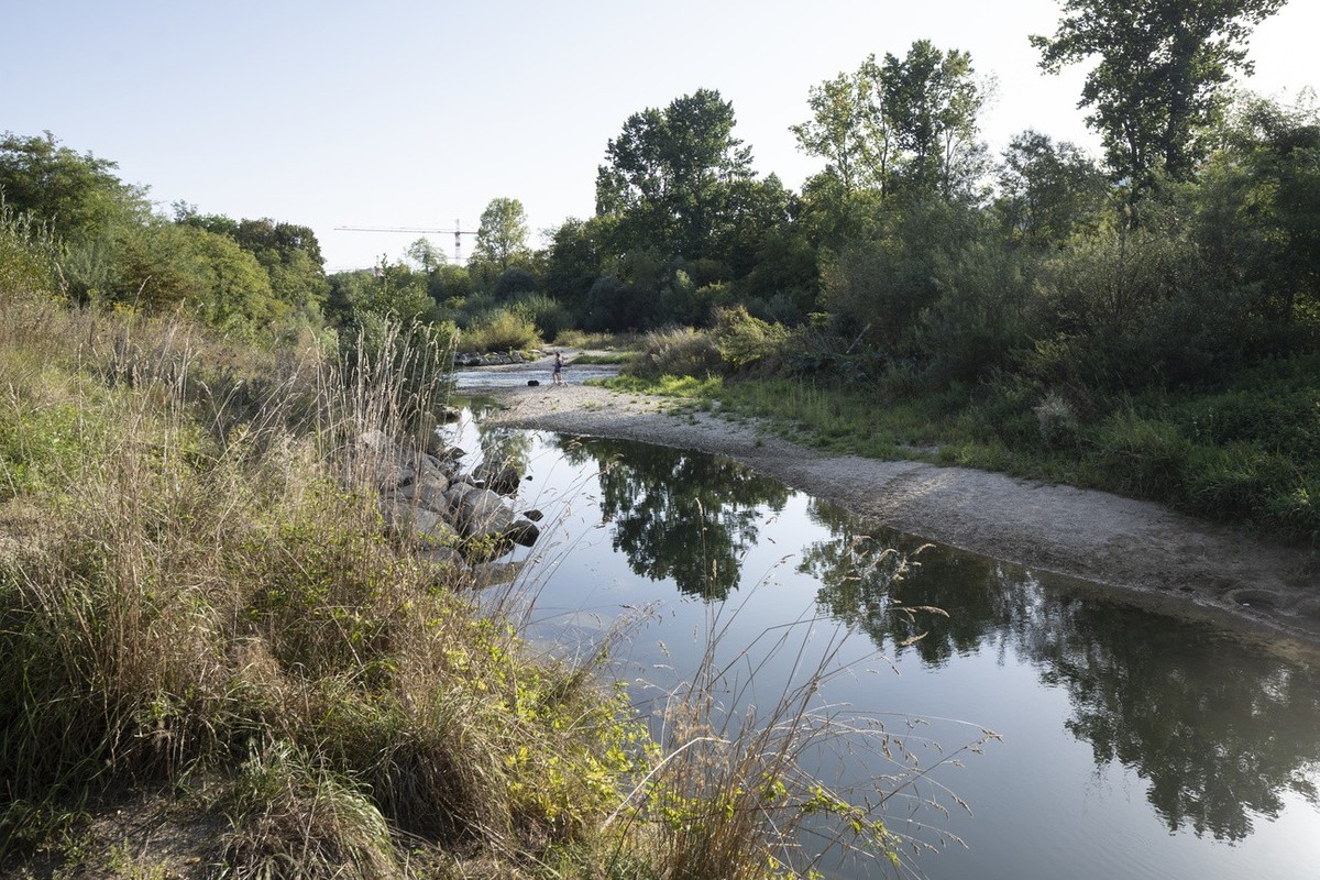 Der Fluss Birs und das Naturschutzgebiet, aufgenommen am Mittwoch, 23. August 2023 in Reinach, Kanton Baselland. Die Gemeinde ist eine von zehn Gemeinden aus den Kantonen Baselland und Solothurn, welc ...