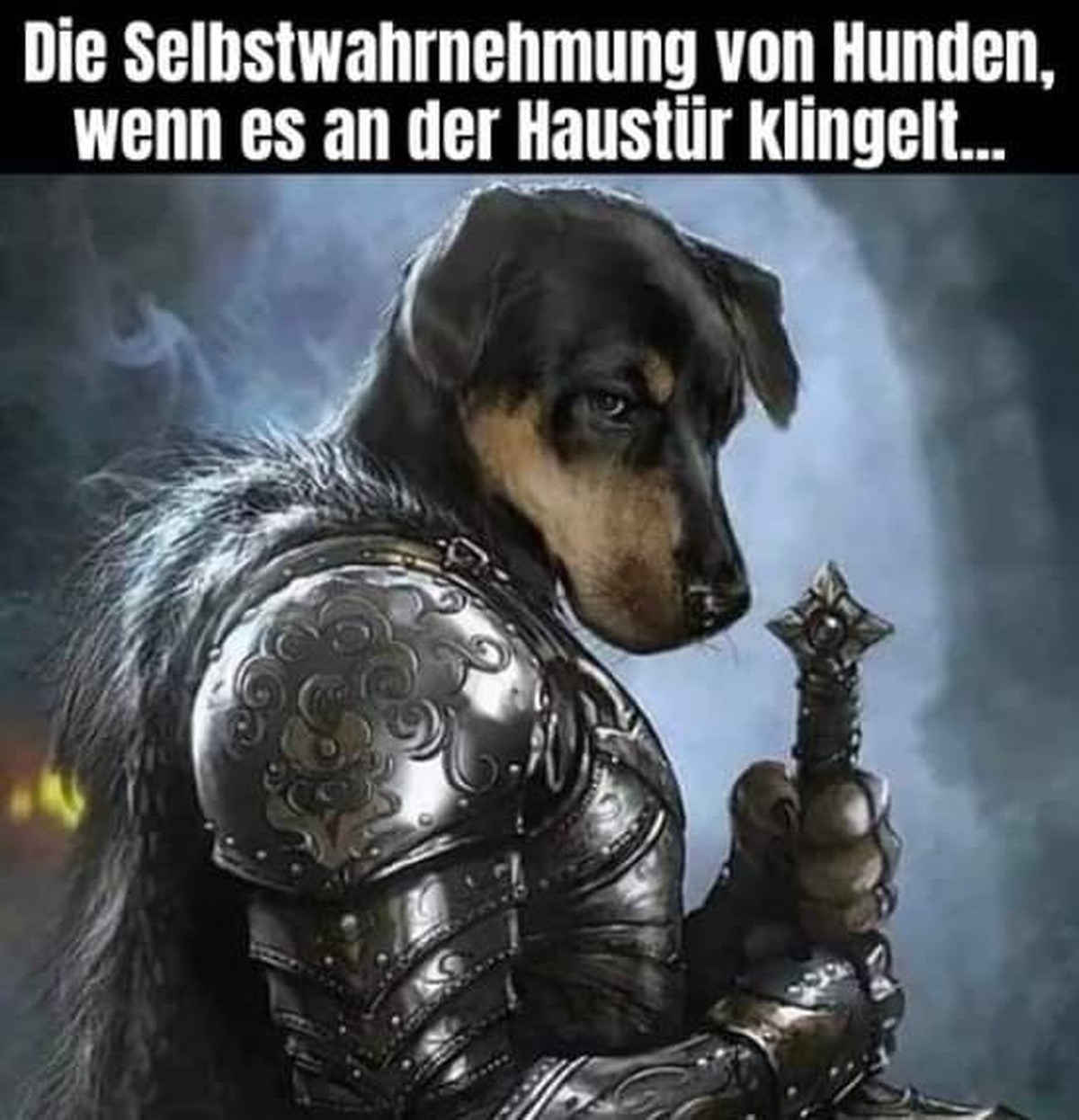 Picdump #19 вЂ“ hier sind sie wieder, die besten Memes der Woche\nрџђ¶