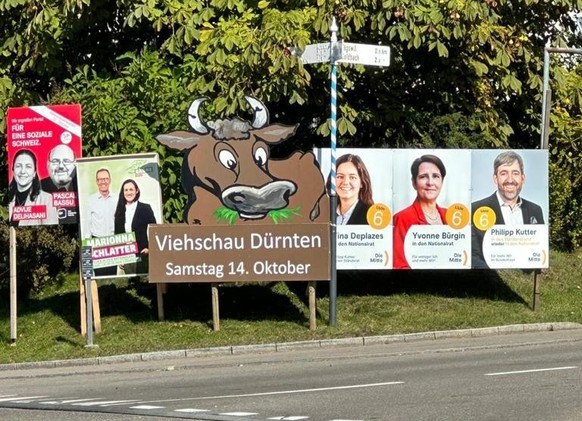 Wahlplakate im Kanton Zürich