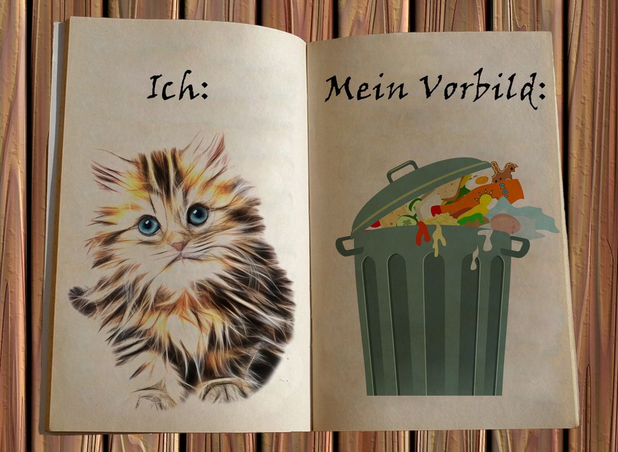 «Liebes Tagebuch, darf ich dir mein grösstes Vorbild vorstellen?»