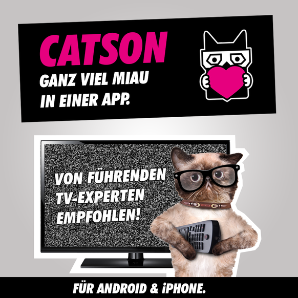 catson TV-Werbung von TV-Experten empfohlen