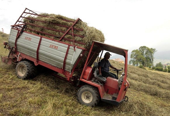 Bauer Georg Schmid aus Wildhaus ist am Mittwoch, 18. Juli 2007, auf der Winkelweid im Toggenburgischen Unterwasser das Heu am einholen, bevor die angekuendigten schweren Gewitter kommen. (KEYSTONE/Edd ...