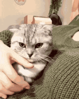 Animiertes GIF