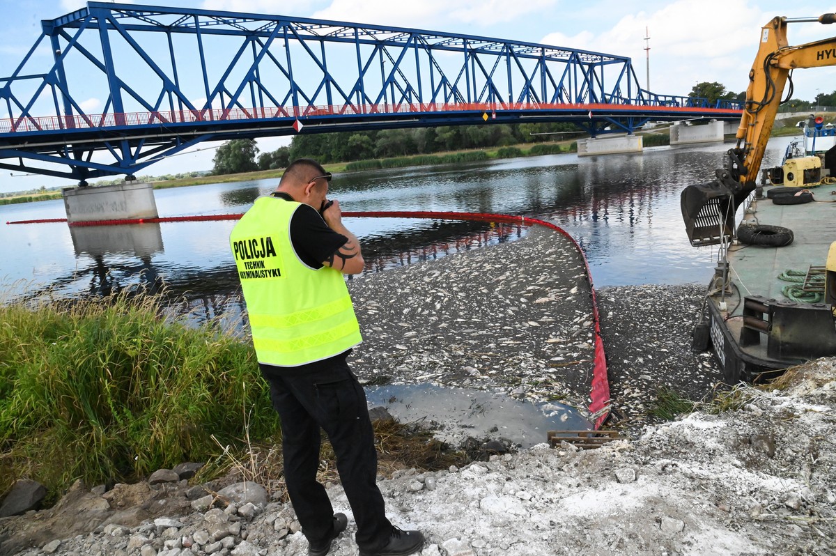 epa10122062 A flexible dam is deployed as part of the cleaning operation of the Oder River after thousands of dead fish washed up on the river banks, in Krajnik Dolny village, Poland, 15 August 2022.  ...