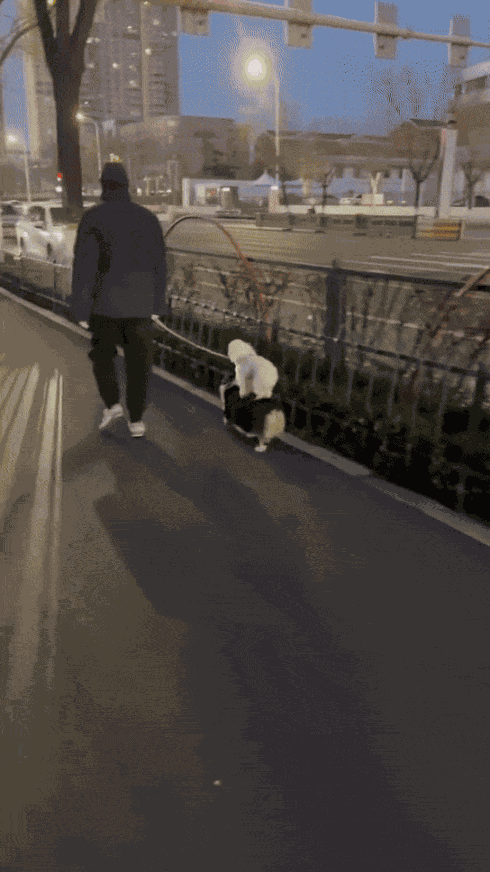 Animiertes GIF