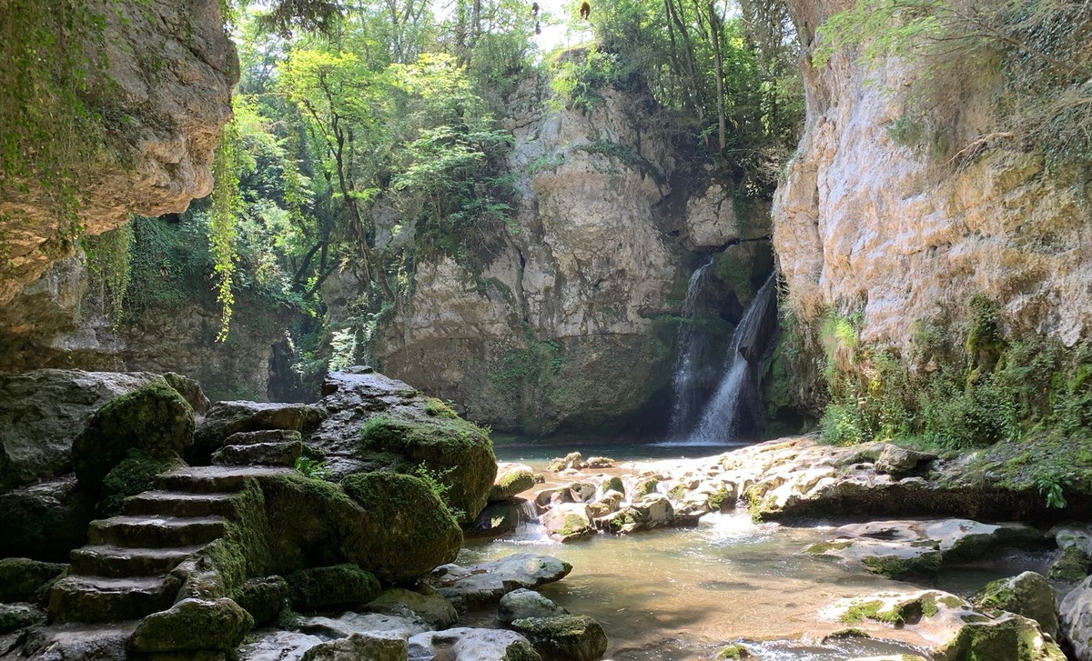 Tine de Conflens