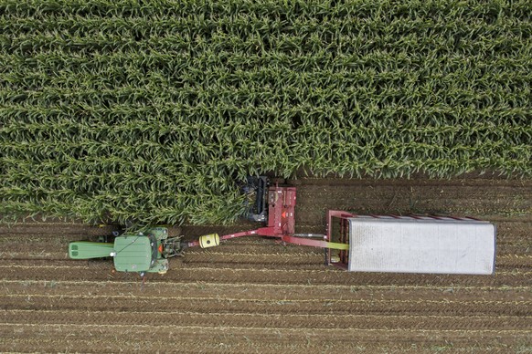 epa07896982 An aerial photo taken with a drone shows a farmer harvesting corn near Millard, Wisconsin, USA, 04 October 2019. According to reports, waivers issued by the Trump administration to 31 smal ...
