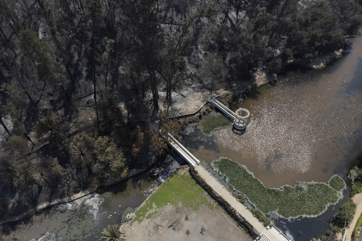 epa11129814 An aerial photograph shows a burned area of the Vina del Mar Botanical Garden after a fire ravaged the garden in Vina del Mar, Chile, 05 February 2024. A fire devasted the Botanical Garden ...
