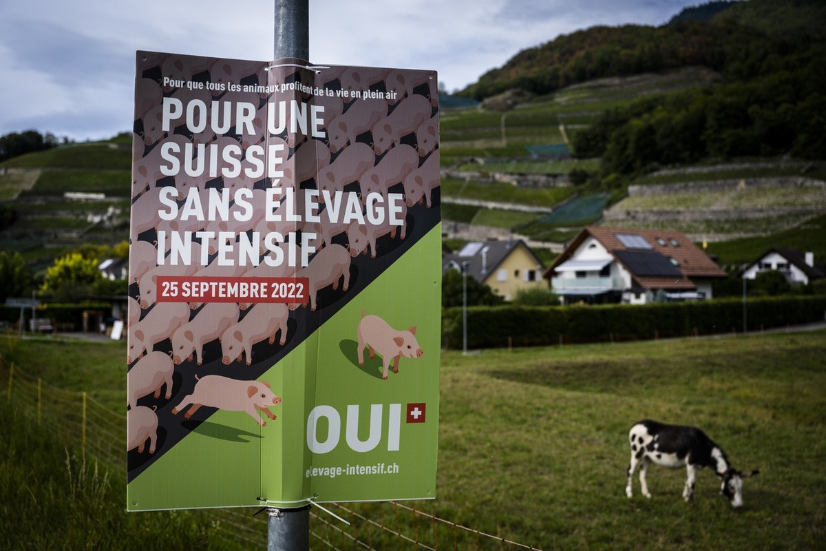 Les initiatives agricoles de ces dernières années ont montré un important écart ville-campagne.