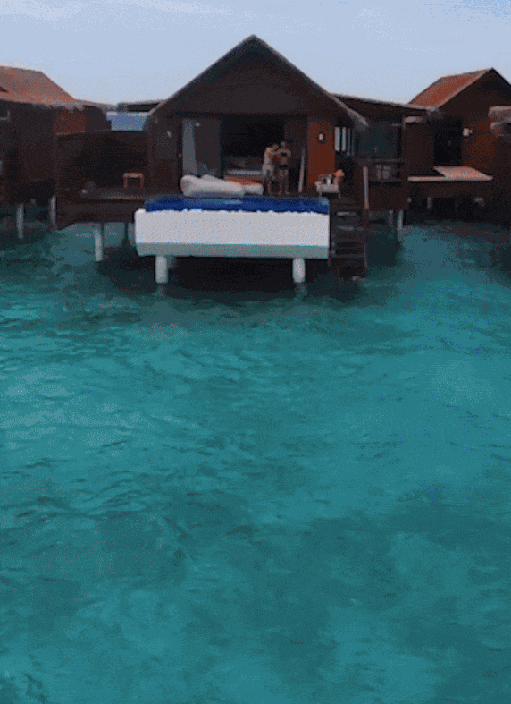Animiertes GIF