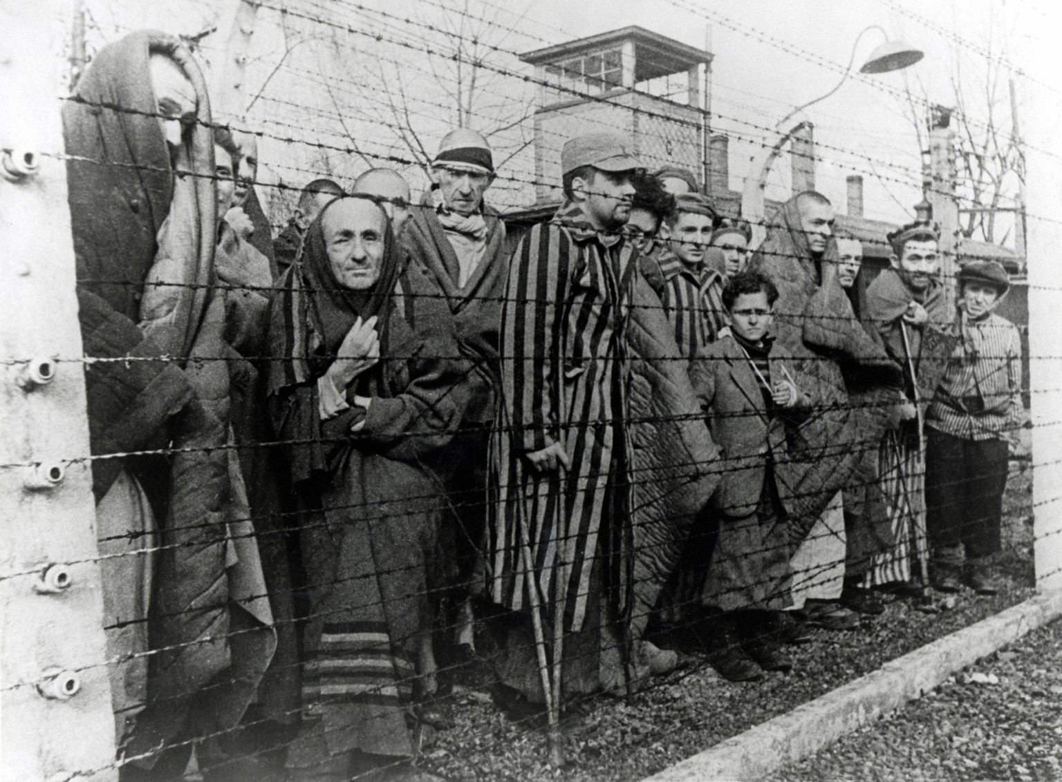 �berlebende von Auschwitz hinter Stacheldrahtzaun. Foto von einem sowjetischen Fotografen w�hrend der Herstellung eines Films �ber die Befreiung des Lagers gemacht. Auschwitz, Polen. Datum: Februar 19 ...