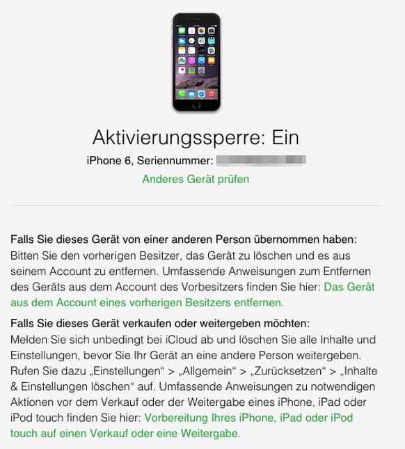 Diese Informationen werden nach dem Eingeben der Seriennummer angezeigt.
