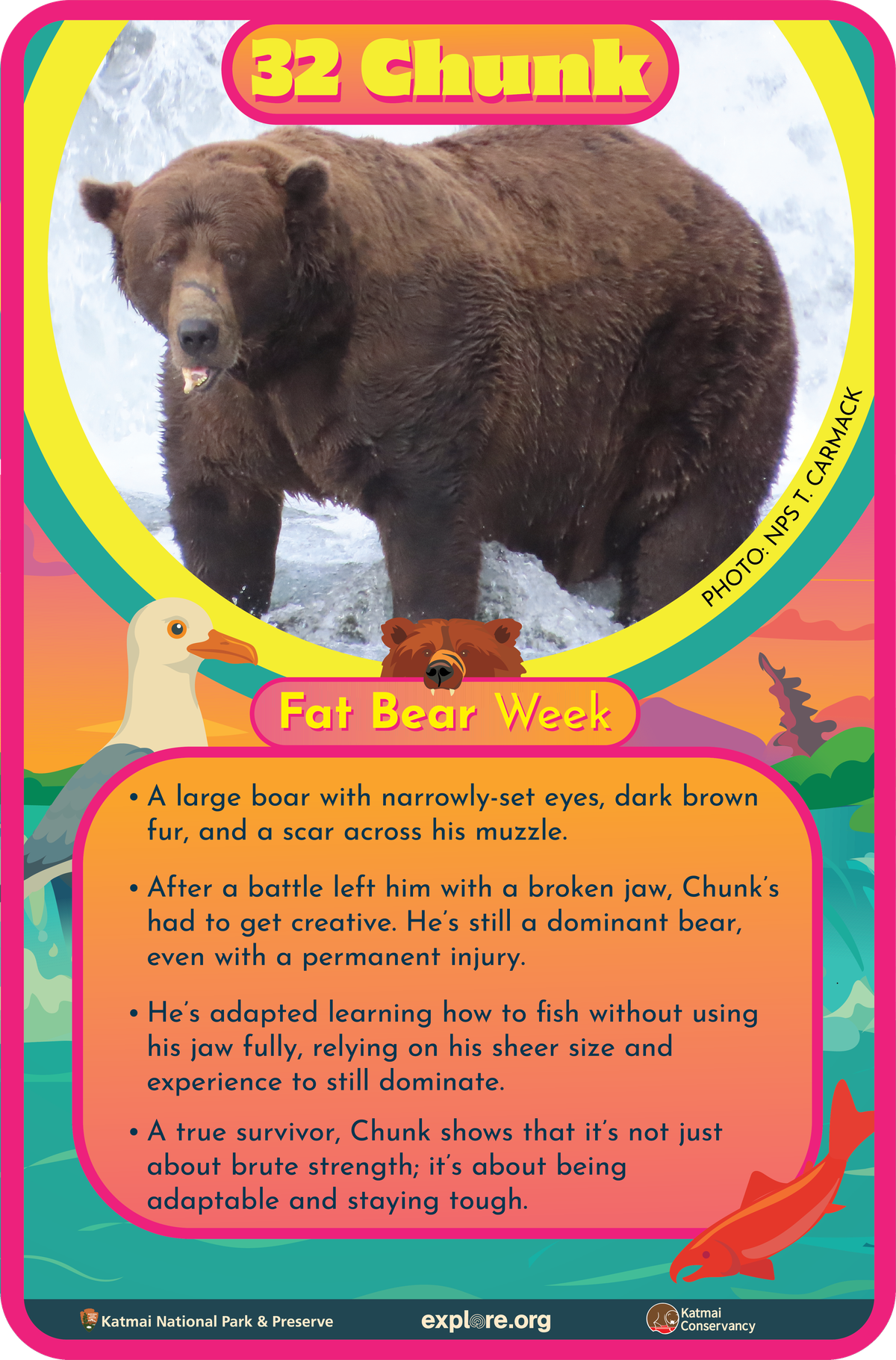 Chunk Fact Card