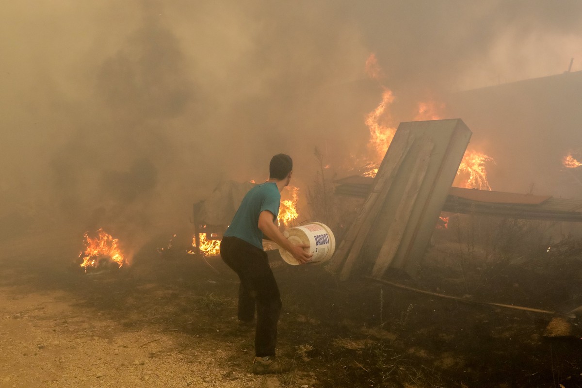 epa06267752 A resident fights a forest fire in Vila Nova de Poiares, Lousa, Portugal, 15 October 2017. The National Civil Protection Authority (ANPC) said it 'was the worst day of the year in ter ...