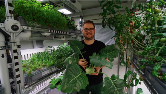 Paul Zabel mit einer Kohlrabi aus dem antarktischen Gewächshaus.