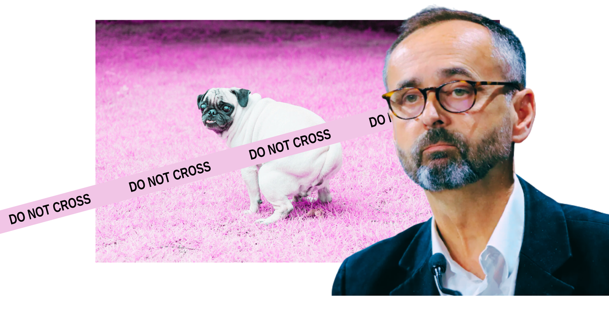 Béziers traque l'ADN des chiens pour criminaliser la crotte