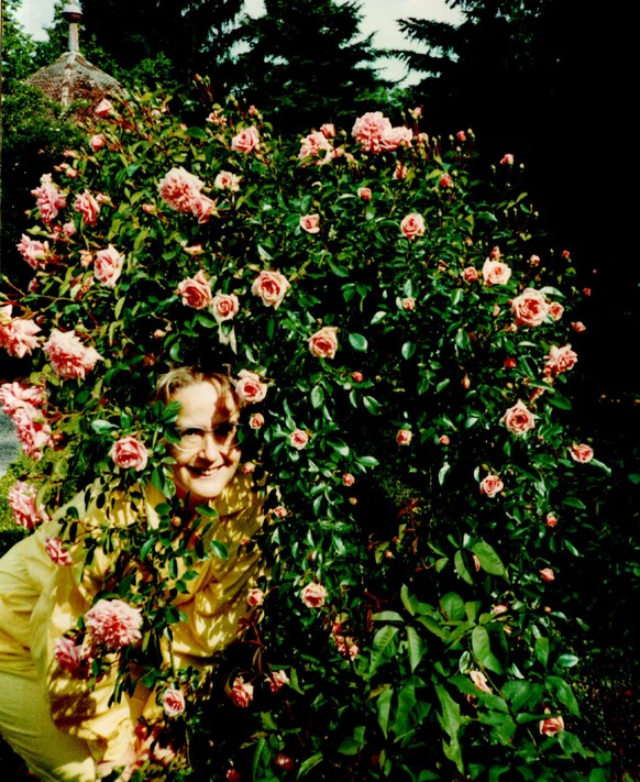 1990, versteckt in einem Rosenstrauch.