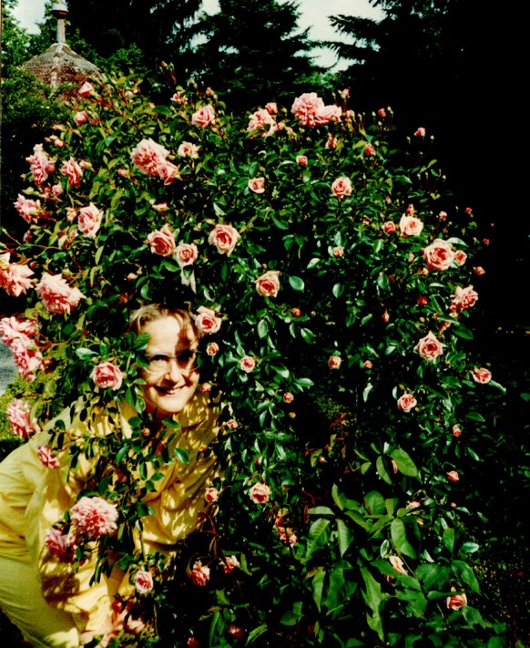 1990, versteckt in einem Rosenstrauch.