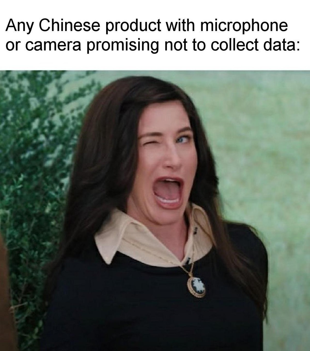 Meme zu China-Spyware