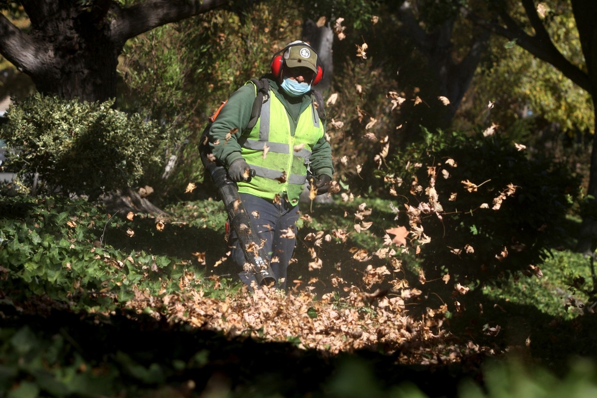 DUBLIN, CA - OCTOBER 14: Pedro Ortiz from Allied Landscaping uses a gasoline-powered leaf blower to clear leaves and gardening debris in a Dublin townhome community on Thursday, October 14, 2021. Last ...