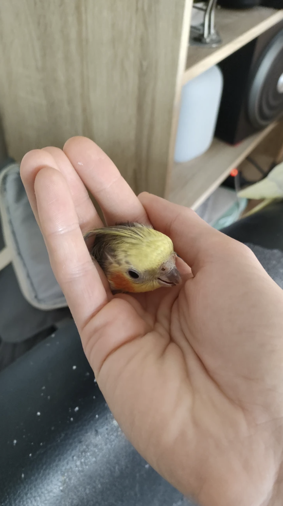 Verwirrende Bilder, die du zweimal anschauen musst, um sie zu verstehen