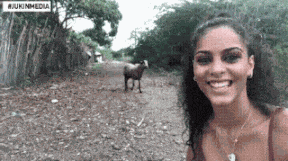 Animiertes GIF