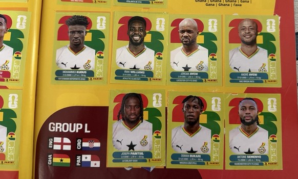 Panini WM 2026