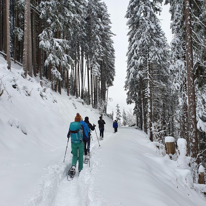 Rauszeit Schneeschuhtouren auf Gipfel mit Bergbahn: Leiterhorn