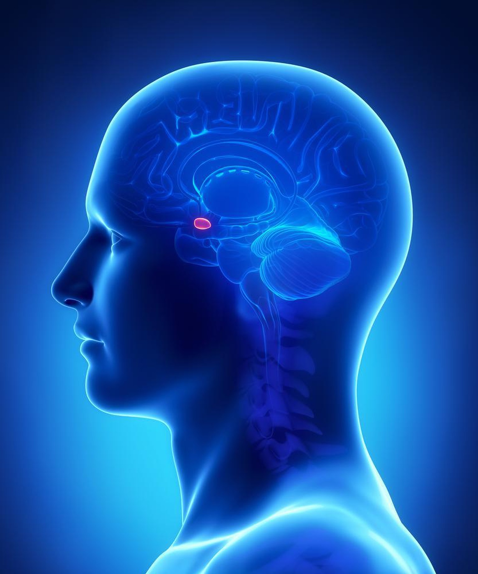 So Funktioniert Das Gehirn Von Psychopathen Watson