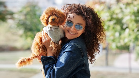 Portrait von rotem Hair kleinen Hund, Mini-Poodle mit geschmeidigen Frauen sehen Kamera und Lächeln in Park. Haustier sieht wie Besitzer aus.