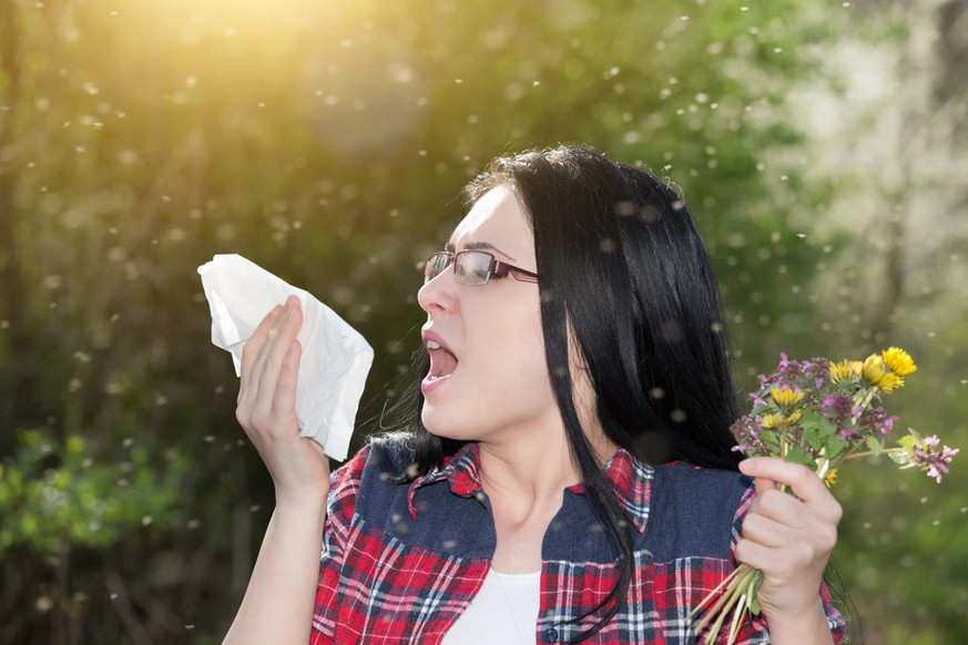 Niesen Pollen Allergie