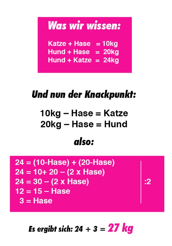 Rätsel Der Woche Das Gewicht Von Hund Katze Und Hase Watson