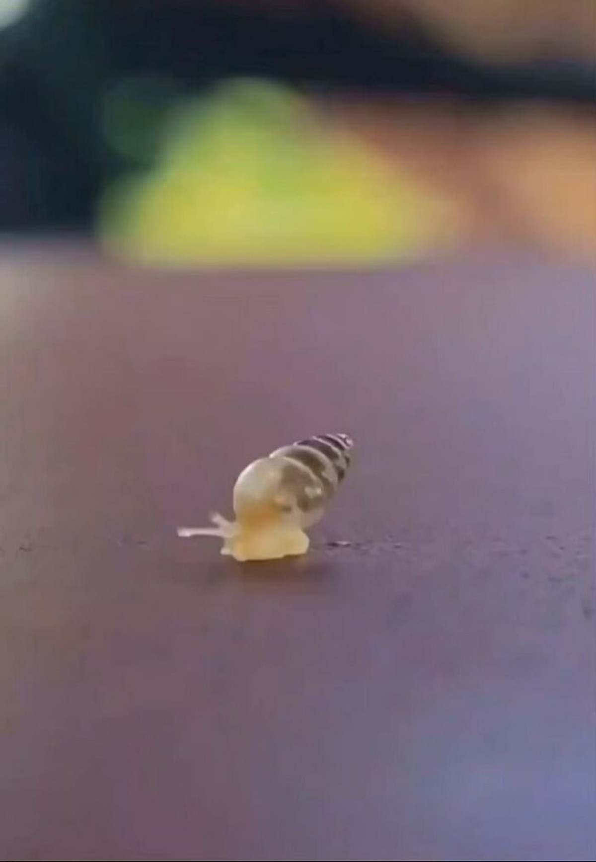 Cute News: Kleine Tiere