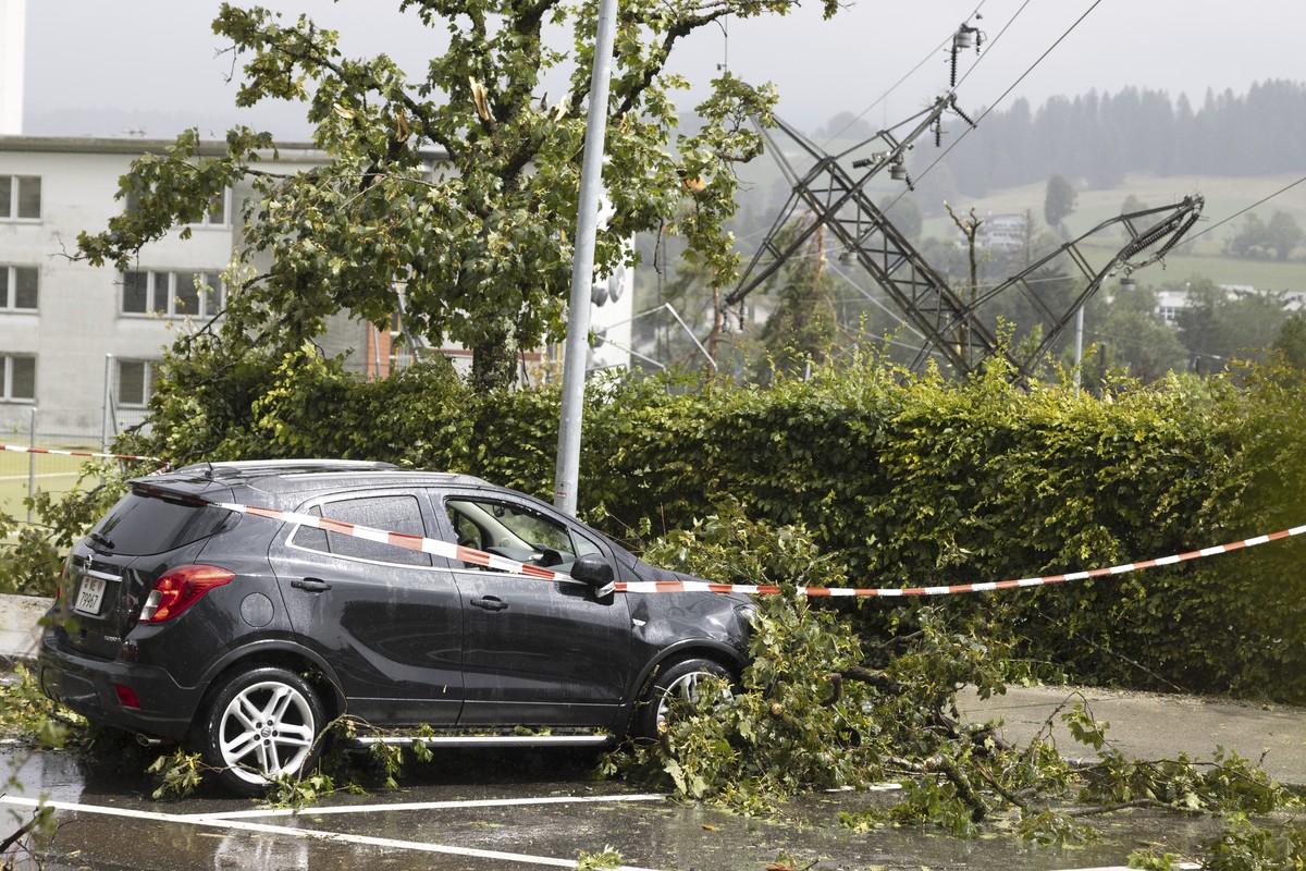Une voiture endommagée par un arbre.