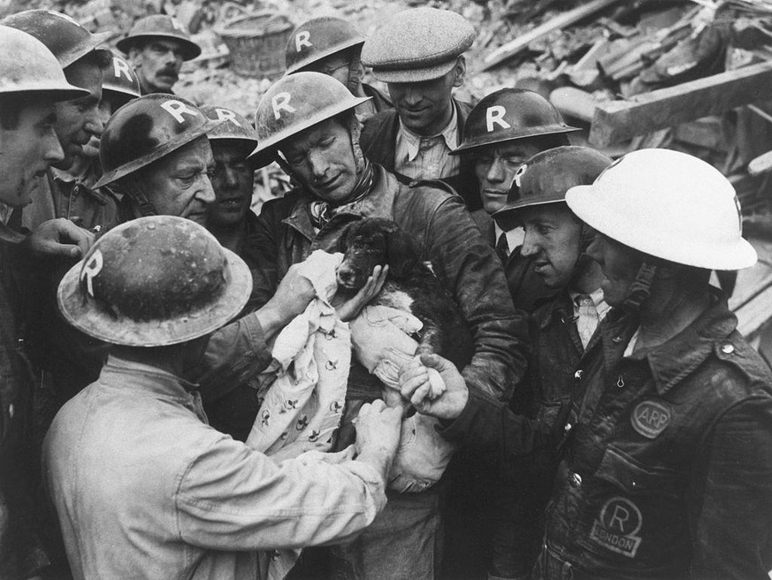 Die Rettung eines Welpen während des «Blitz», Südlondon, um 1940.