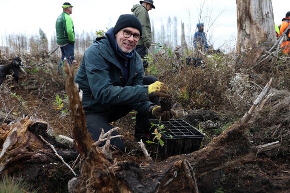 25.10.2025, Niedersachsen, Braunlage: Martin Kaiser, Gesch�ftsf�hrer von Greenpeace Deutschland, pflanzt auf einer zuvor bewaldeten Brachfl�che bei Braunlage im Oberharz eine Eiche. Er ist einer von r ...