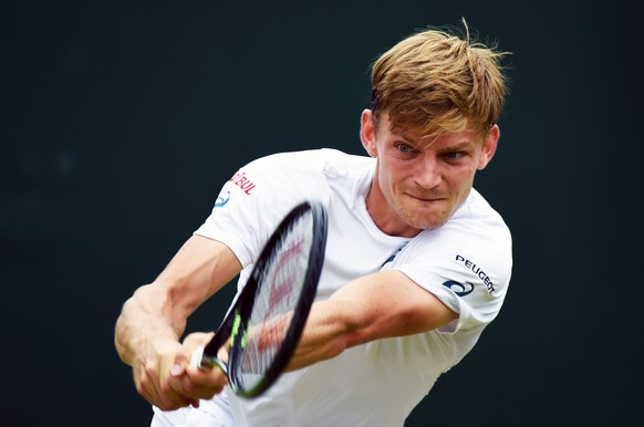 Der Belgier Goffin hatte zu Beginn alles im Griff.