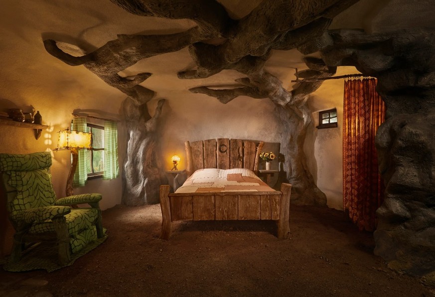 Airbnb Shrek