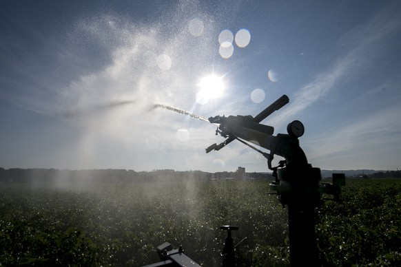 Ein Landwirt bewaessert sein Kartoffelfeld, am Donnerstag, 16. Juli 2015, in der Naehe von Burgdorf. (KEYSTONE/Marcel Bieri)