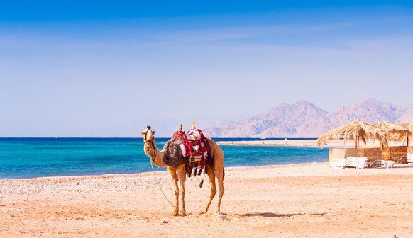 Reisen ans Rote Meer in Ägypten sind mit einem negativen Coronatest aktuell möglich.