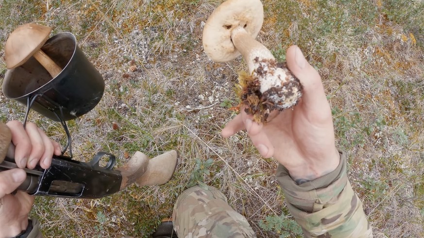 Pilze sammeln bei «Survival Squad».