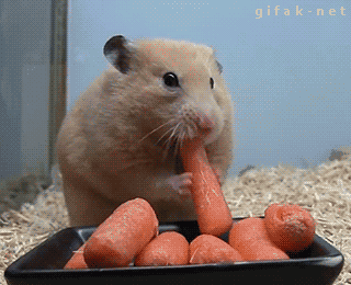 Animiertes GIF