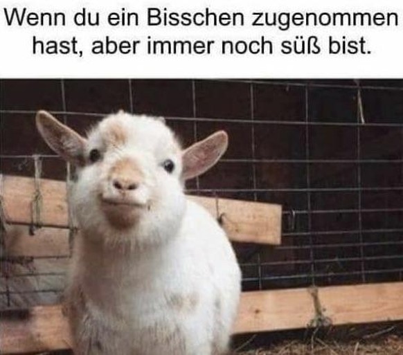 Gratuliere! Du hast mich gefunden. LG Picdump ЁЯда
&quot;Du Schnuckel Du&quot; - Wer auch immer.