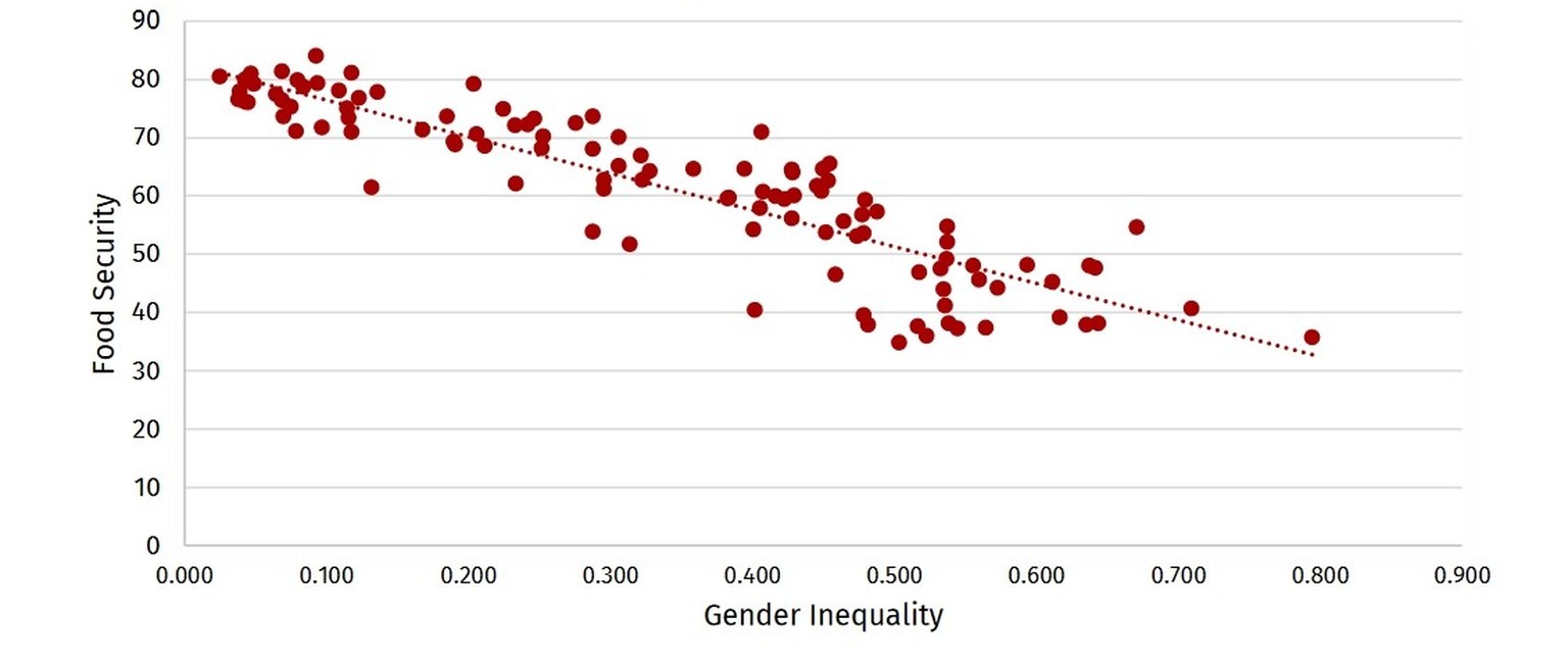The graph demonstrates the high correlation between gender equality and food security. Because the
index measures gender inequality, a higher score on the index is less equality. In its most basic ter ...