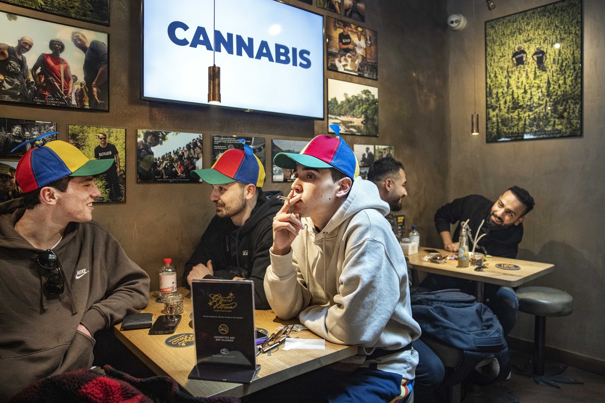 epa09892794 Foreign tourists smoke weed at a coffee shop in Amsterdam, the Netherlands, 16 April 2022. Amsterdam authorities want to ban coffee shops for foreign tourists to prevent drug nuisance in t ...