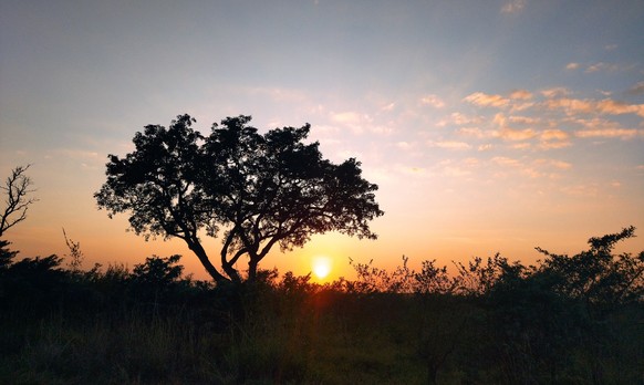 Die Sonnenuntergänge Afrikas haben einen ganz besonderen Charme.