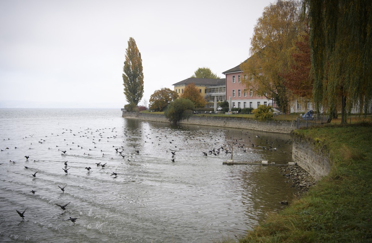Blick auf Gebaeude der Psychiatrischen Klinik, aufgenommen am Montag, 31. Oktober 2016, in Muensterlingen. Wie der Tages Anzeiger die untersuchende Historikerin Marietta Meier zitiert, sollen die in d ...
