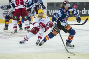 Franco Collenberg: Zurück aufs Eis.