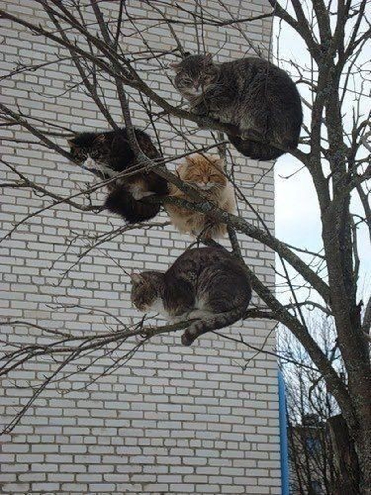 cute news tier katze
https://ch.pinterest.com/pin/1121888957178362867/